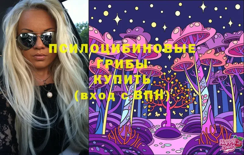 Галлюциногенные грибы Cubensis  Апрелевка 